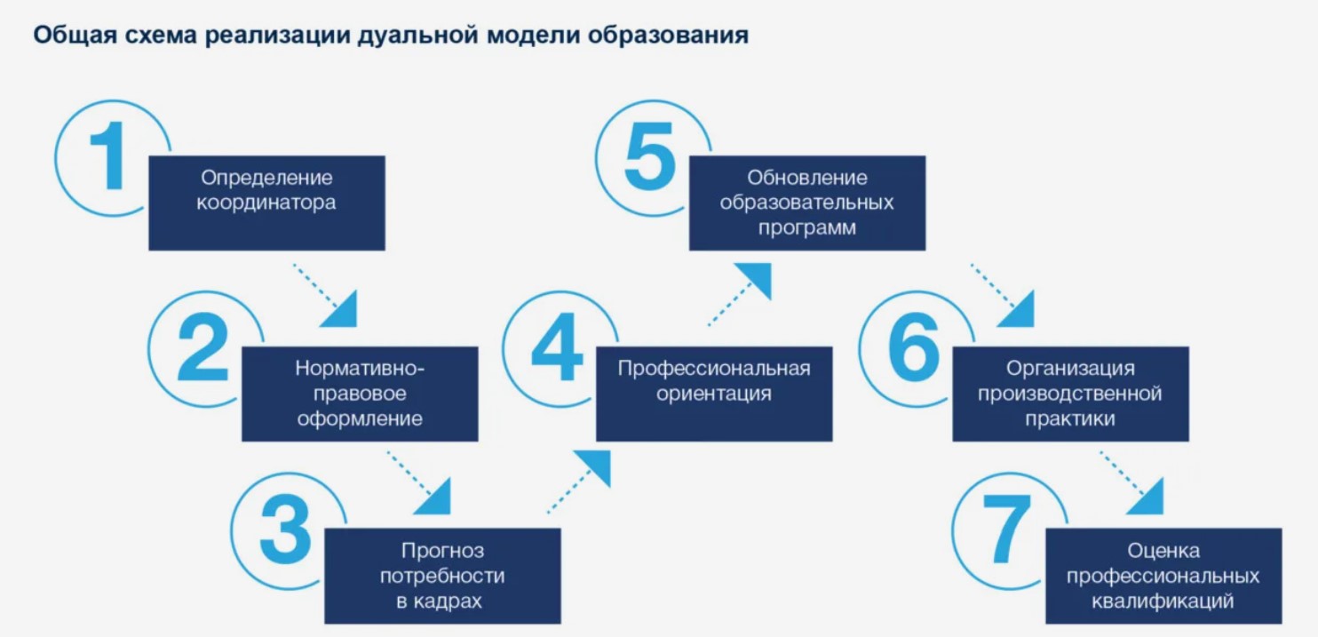 Структура дуальной системы.